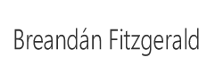 #vote1fitzy - You decide - I'm asking for your support - Breandán Fitzgerald